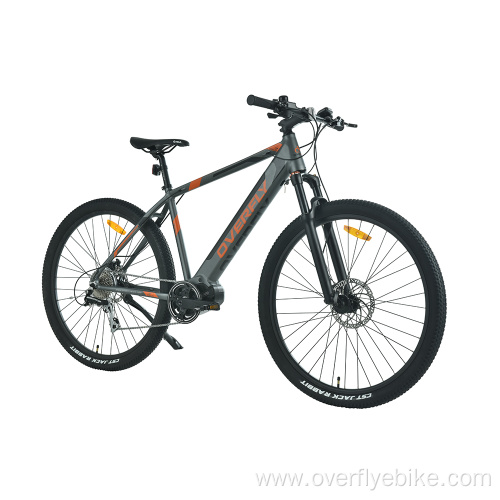 XY-Crius MTB best entry level mountain bike